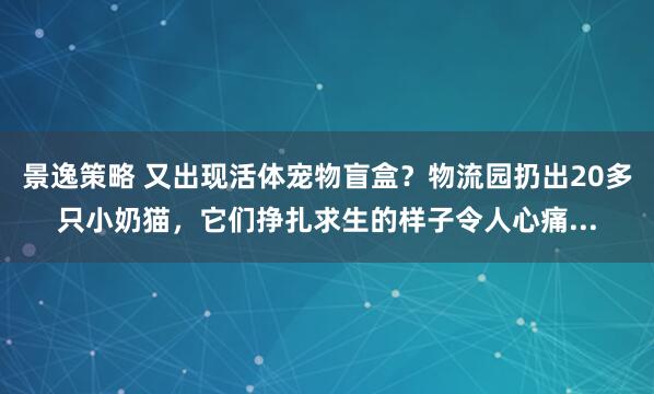 景逸策略 又出现活体宠物盲盒？物流园扔出20多只小奶猫，它们挣扎求生的样子令人心痛...