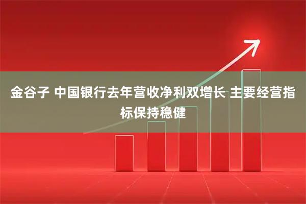 金谷子 中国银行去年营收净利双增长 主要经营指标保持稳健
