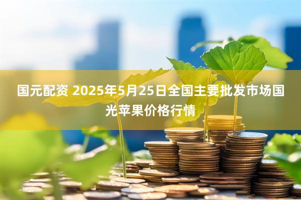 国元配资 2025年5月25日全国主要批发市场国光苹果价格行情